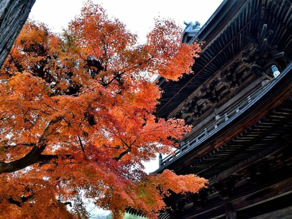 Have a scenic stroll around Engaku-ji Temple
