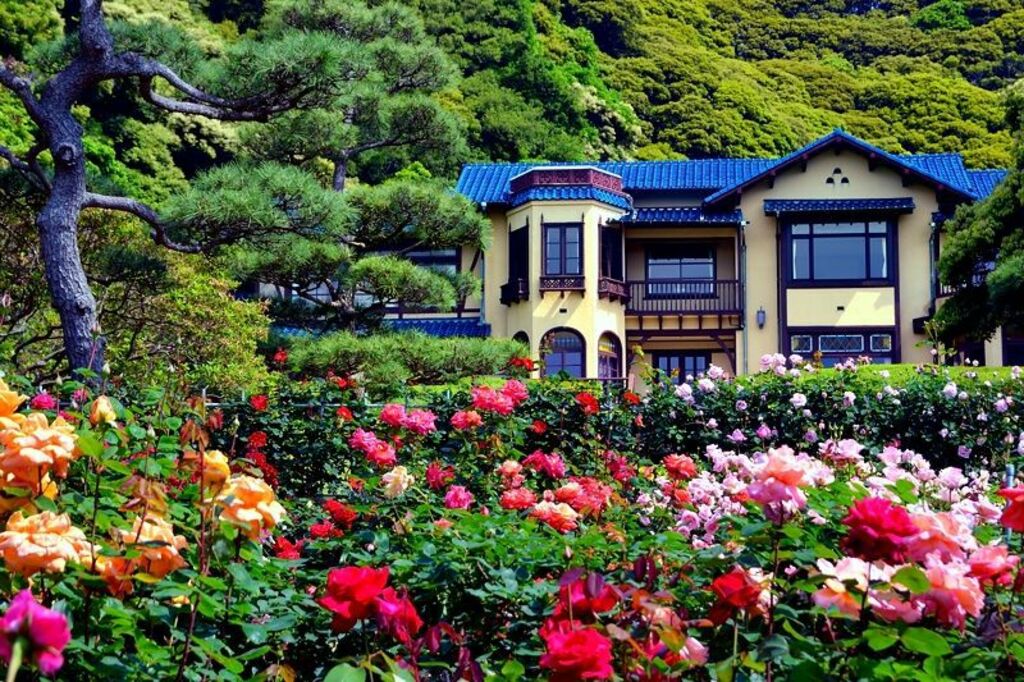 Explore the beautiful rose gardens of the Kamakura Museum of Literature