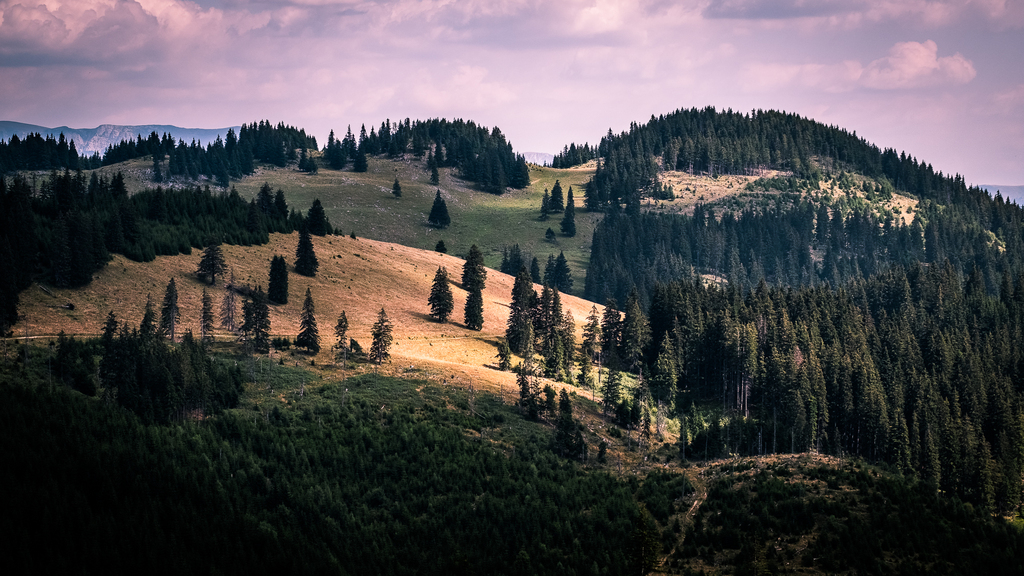 Piatra Craiului, Southern Carpathians - Romania - Landscape photography