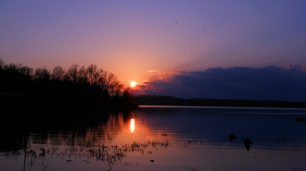 Sometimes Reflections Waver