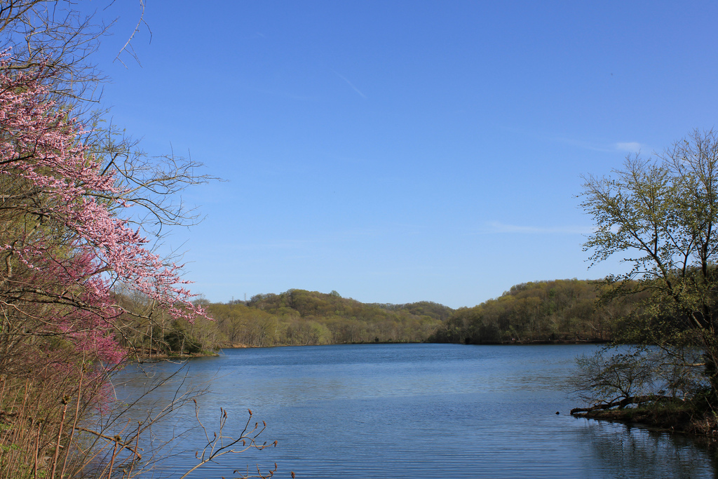 Kaldari Radnor Lake