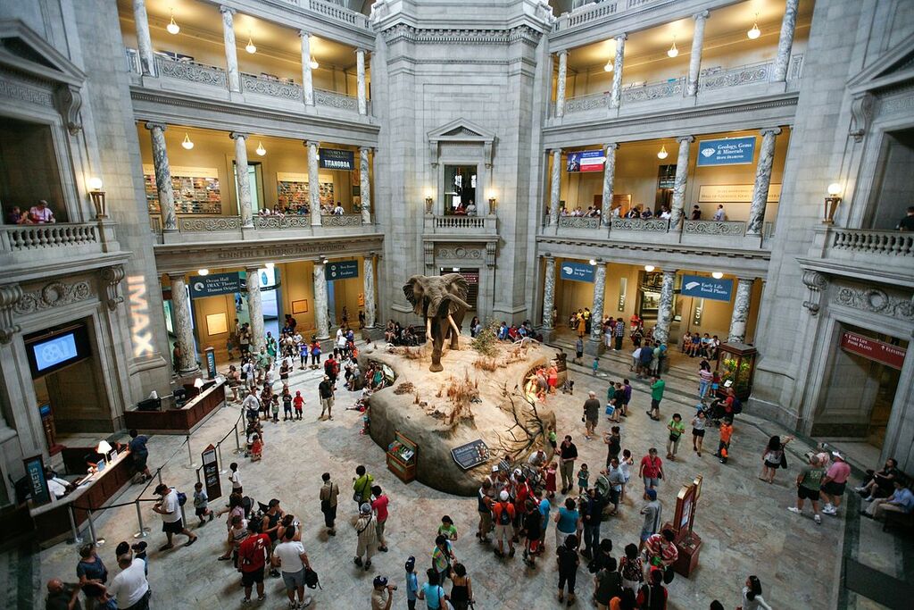 Smithsonian Institution National Museum of Natural History (7508870948)