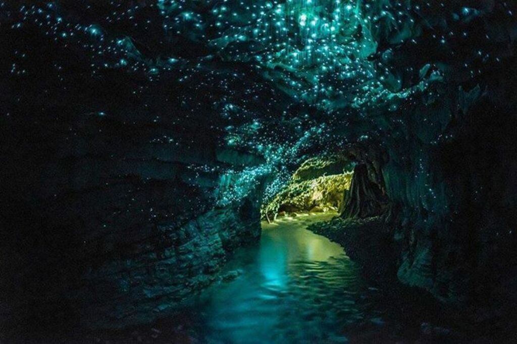Waitomo Glow Worm Caves, #NewZealand