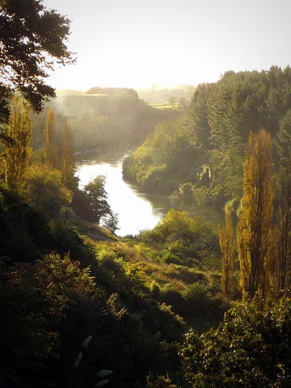 View from River Cottage