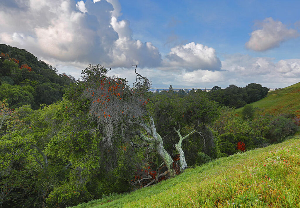 Dry Creek Pioneer Regional Park (16309897323)