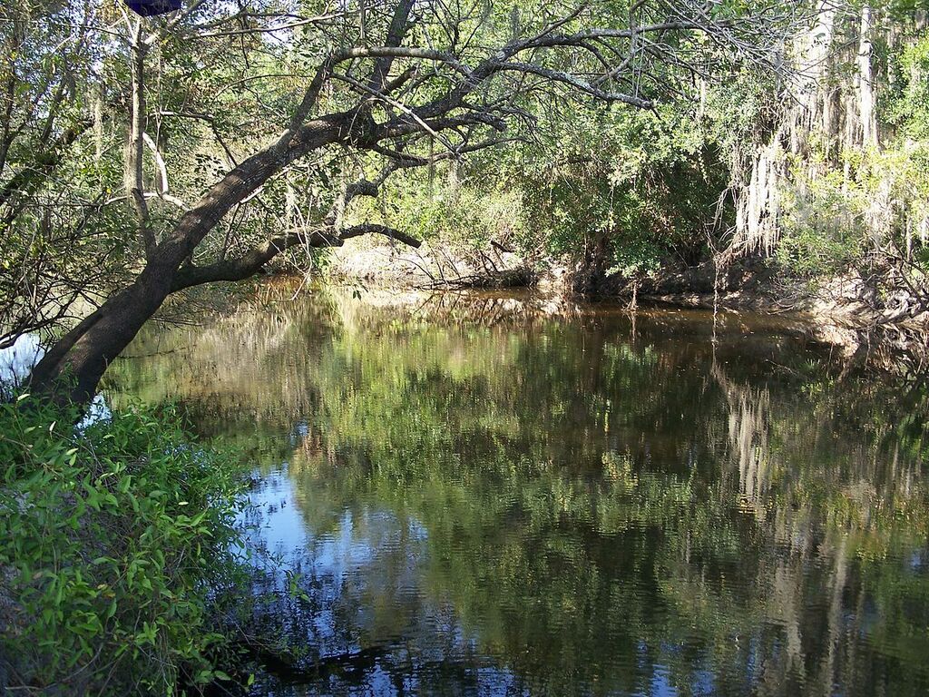 Little Manatee River SP river01