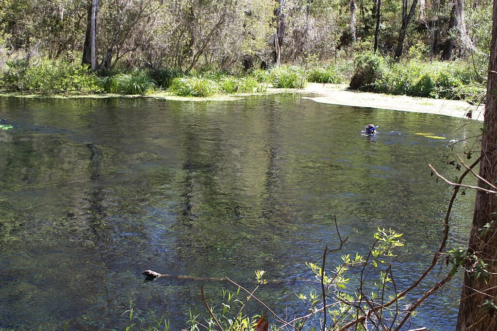 Ichetucknee Springs State Park Blue Hole Spring 2