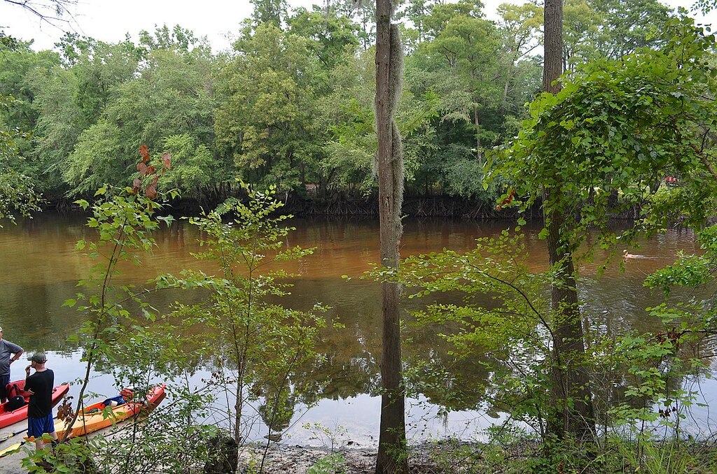 Colleton State Park