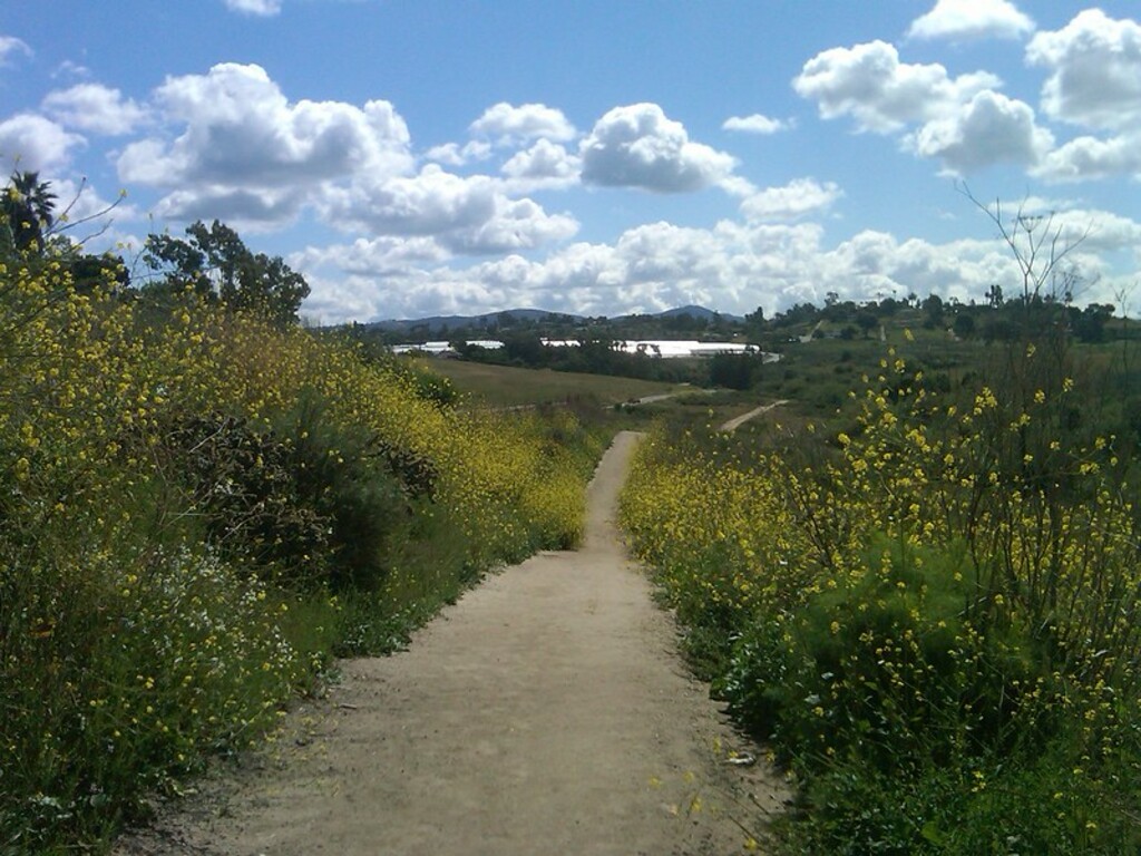 Guajome Regional Park