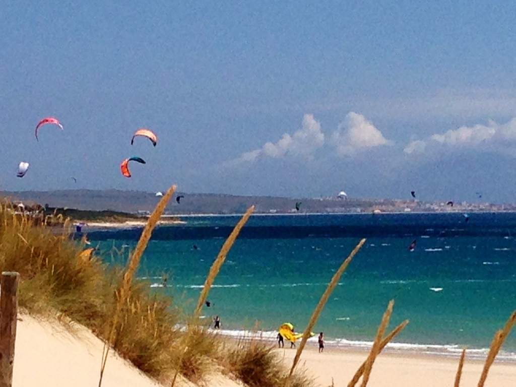 Punta Paloma