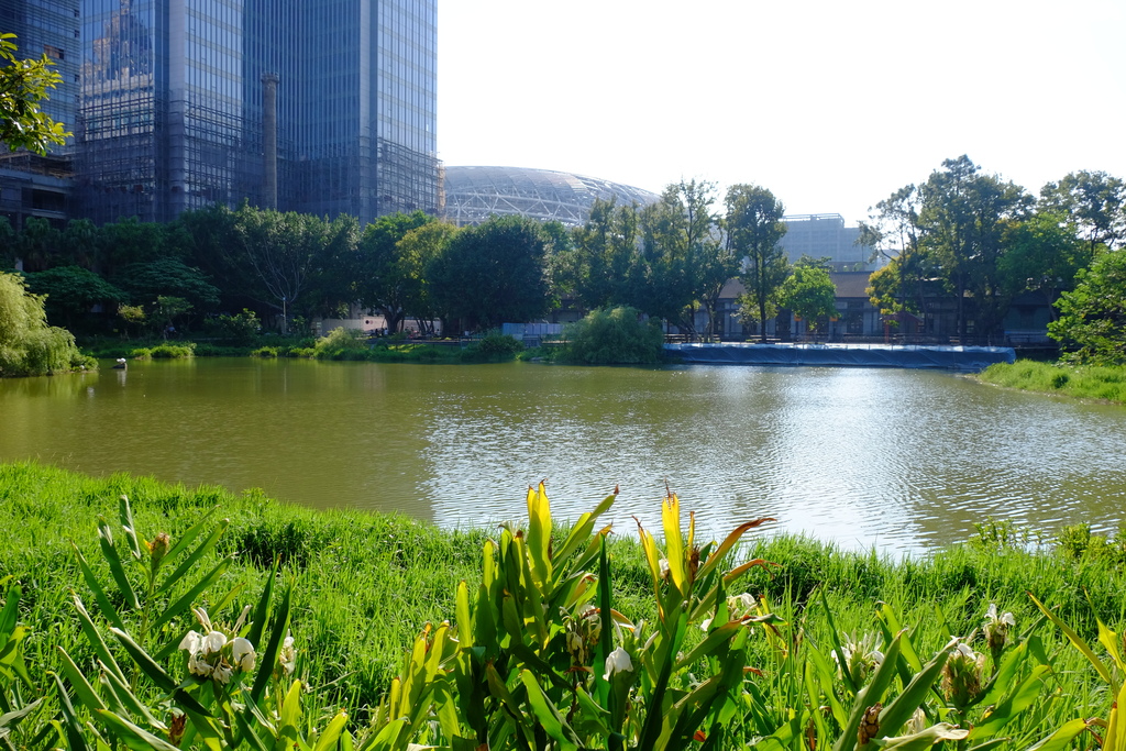 Songshan Cultural and Creative Park Pond in Autumn Time 20150918b