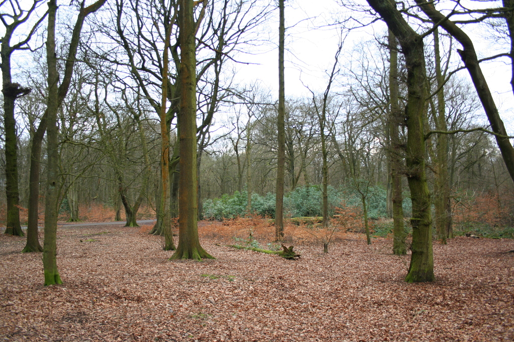 Haigh Country Park