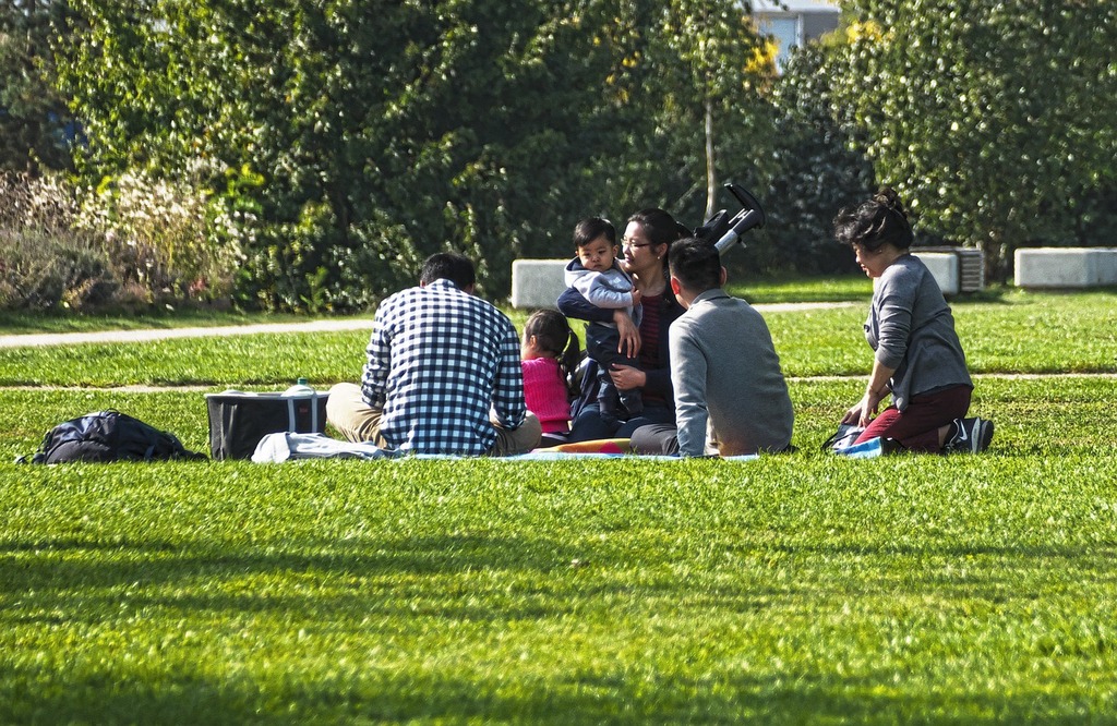 Picnic Family Sit Green