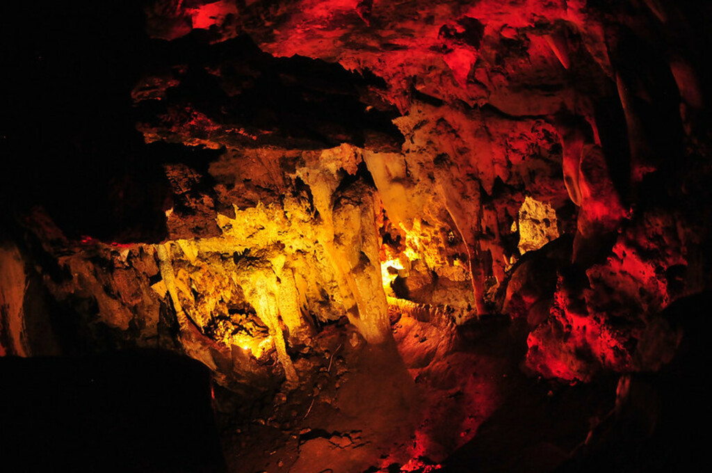 {Rhino & Lion Nature Reserve} Wondercave : 5