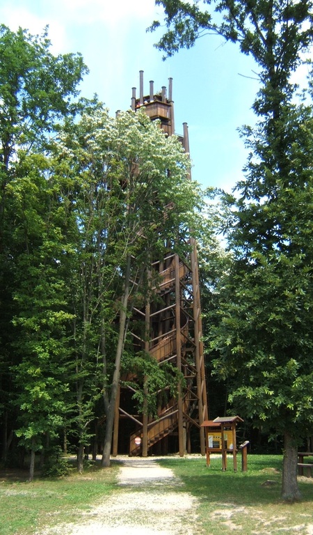 Zselici Csillagpark