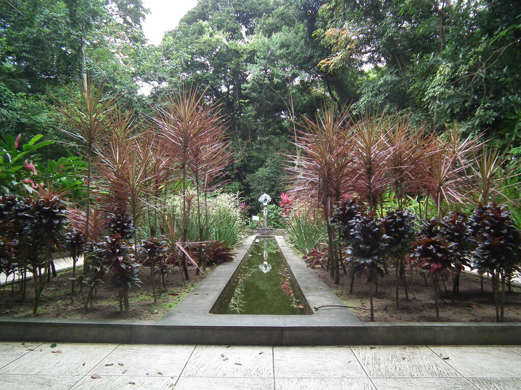 Jardim Botânico do Recife