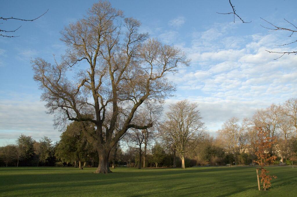 Victoria park, london