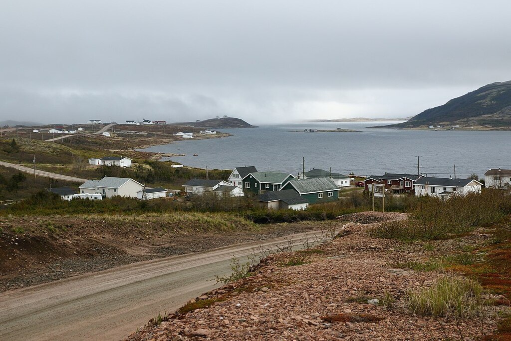 Red Bay Labrador 04