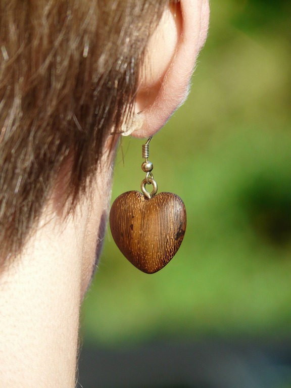 Wood earrings