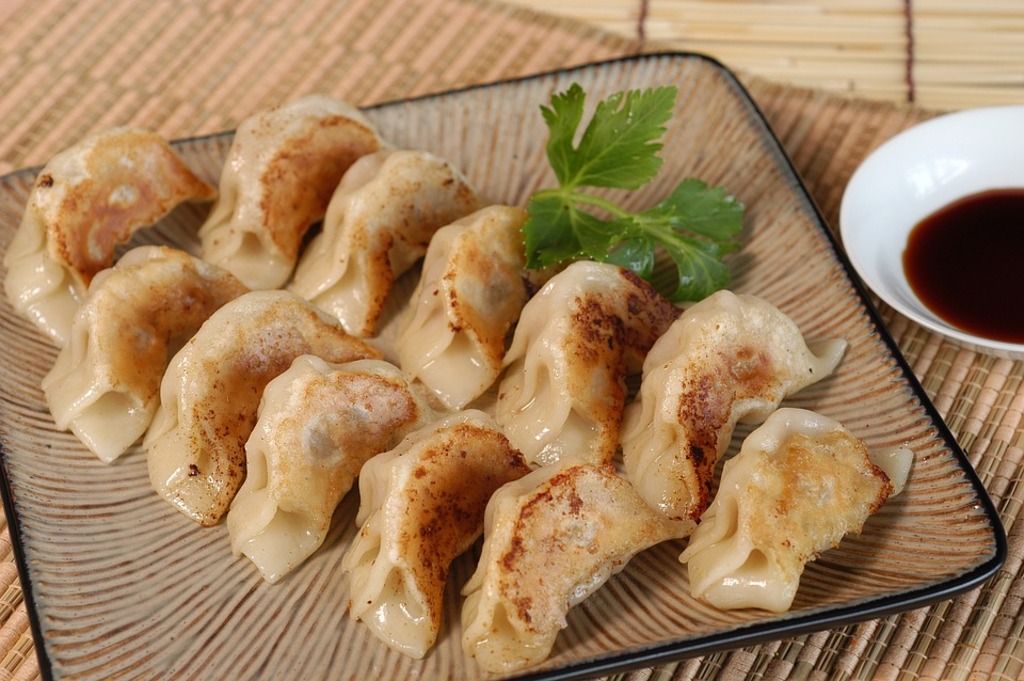 what to buy in osaka airport | tenten bite-sized gyoza
