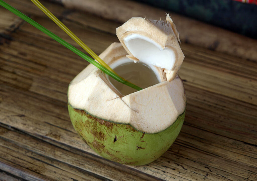 Klappermelk kelapa muda