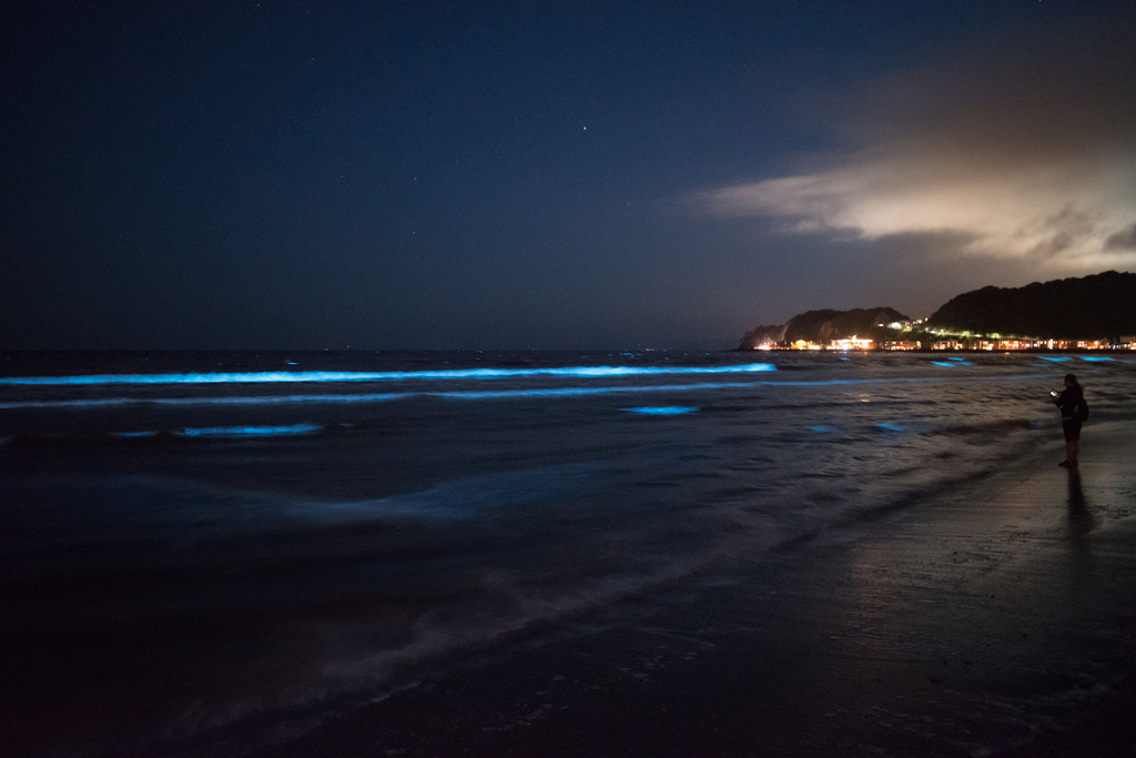 Sea sparkle at Kamakura Yuigahama Beach, Japan on March 2017