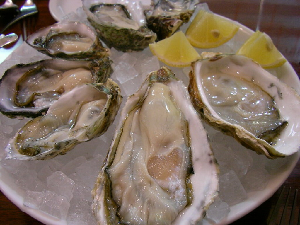 @ GUMBO & OYSTER BAR