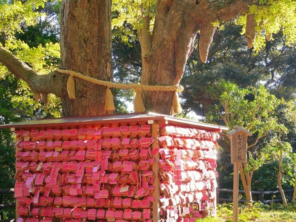Receive good health blessings at Enoshima Shrine