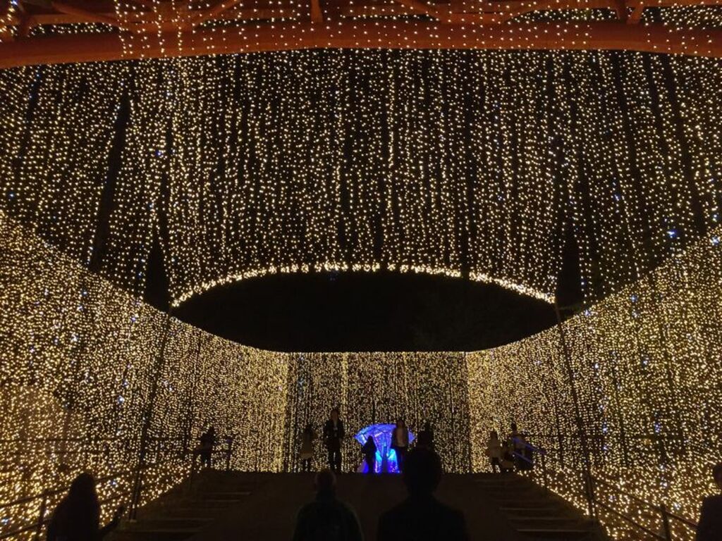 Catch breathtaking seasonal illuminations at Lake Sagami Pleasure Forest