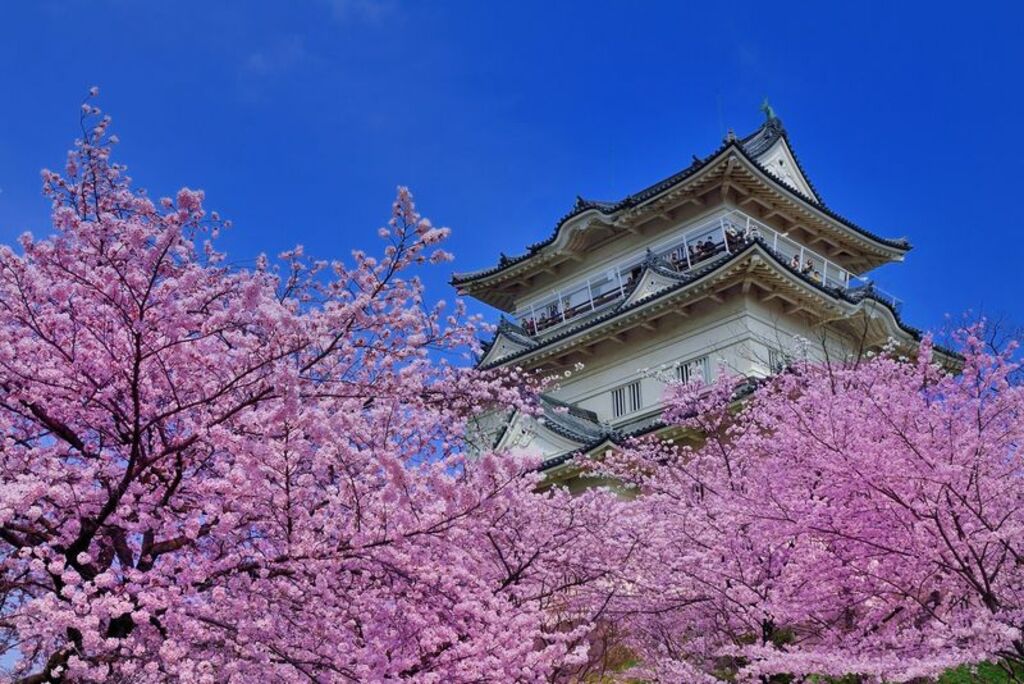 Relive samurai history at Odawara Castle