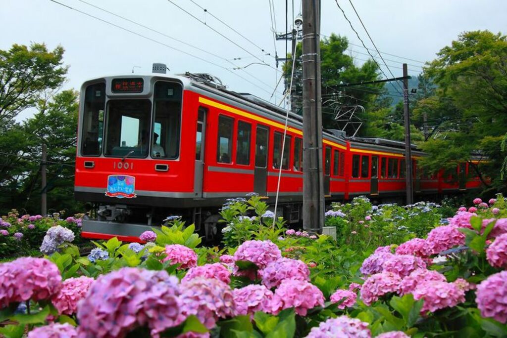 Enjoy lush mountain scenery aboard the Hakone Tozan Railway