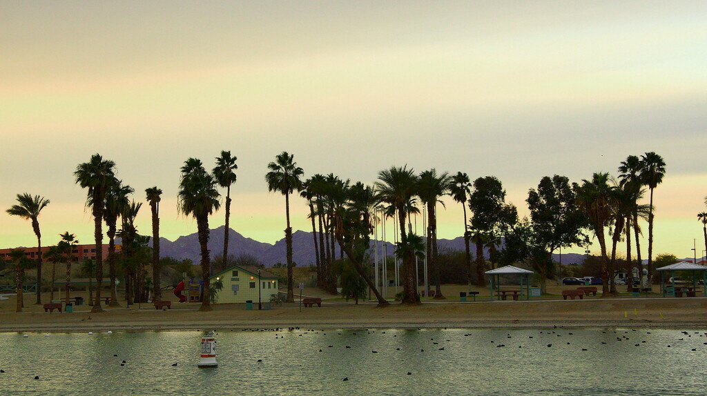 from Rotary Community Park in Lake Havasu City