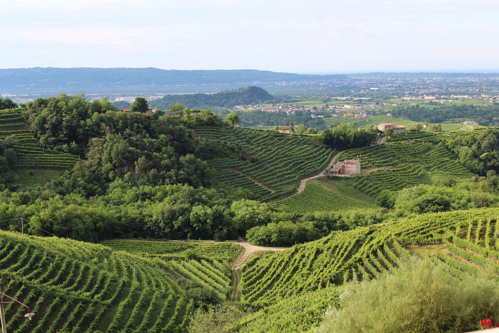 Explore the countryside