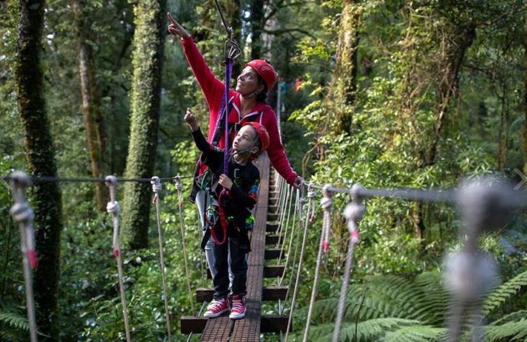 canopy tour