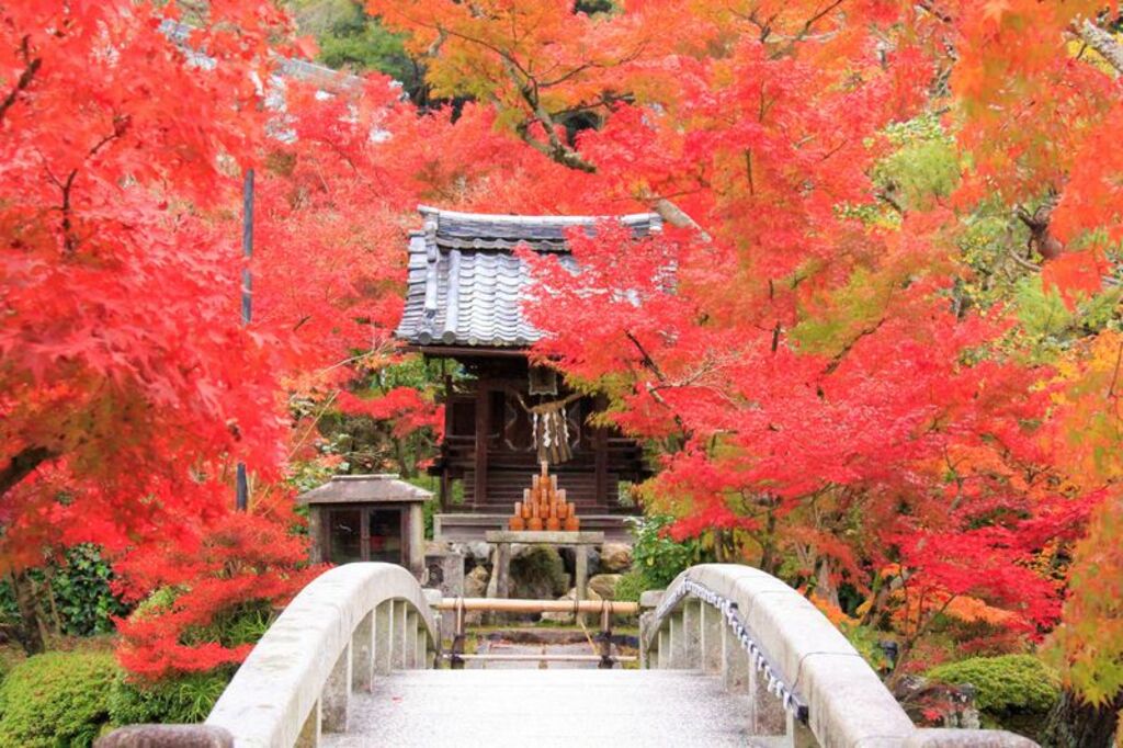 Eikan-dō Zenrin-ji