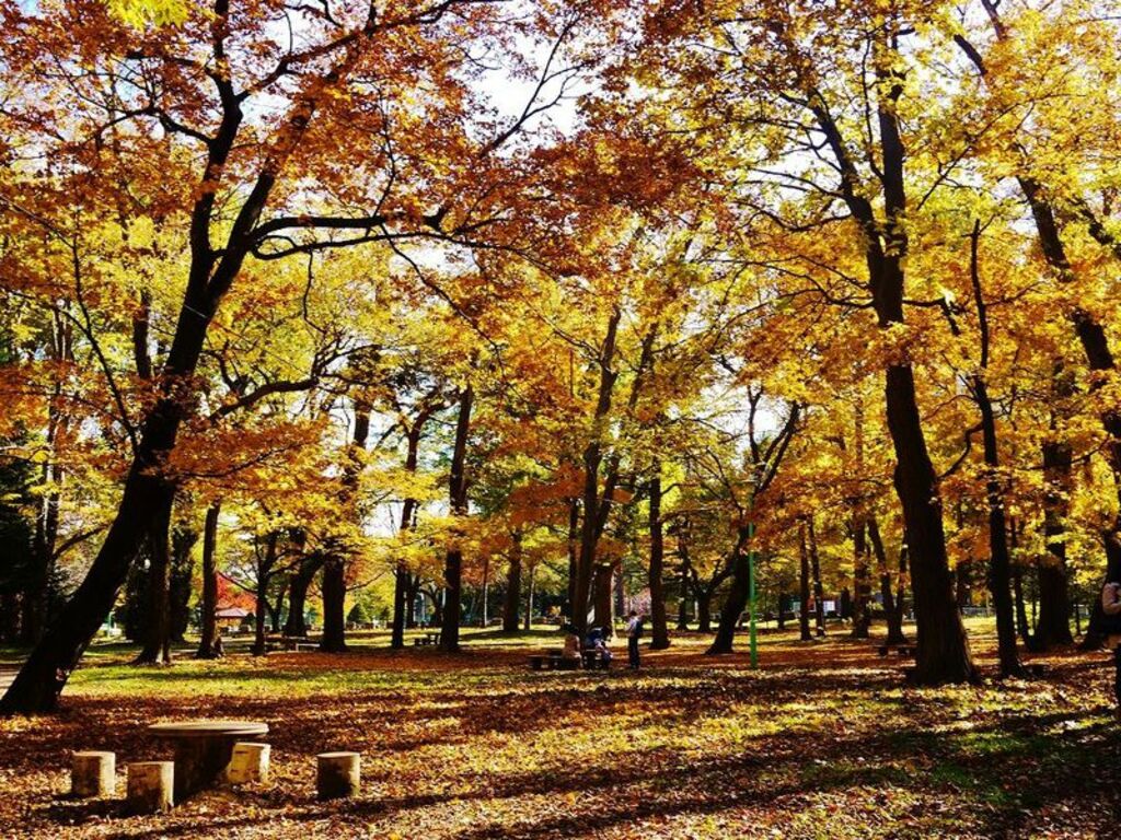 Maruyama Park