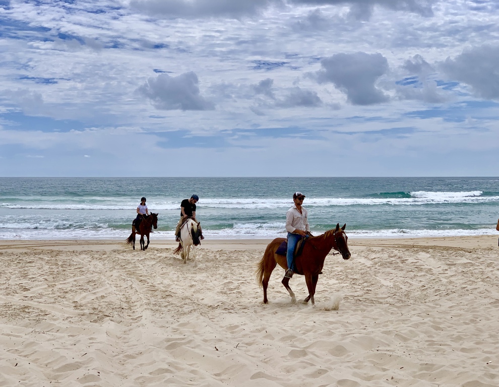 Recreational horse riding on Noosa North Shore beach, Queensland, January 2019, 01
