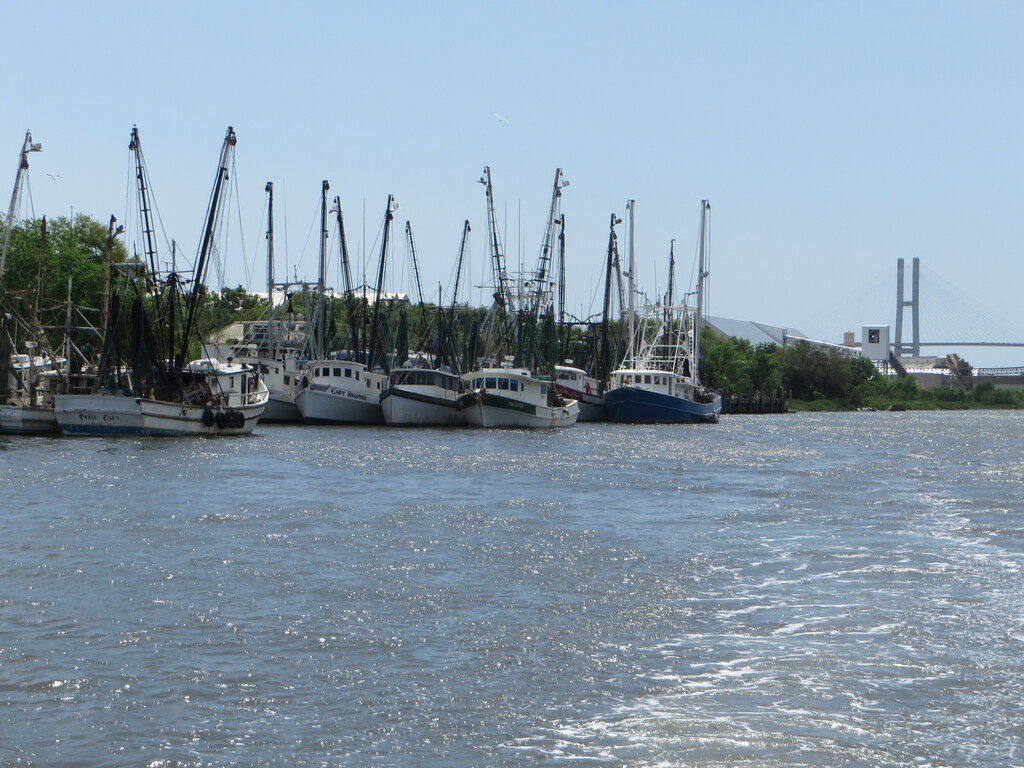 Shrimps boats near the Sidney Lanier Bridge