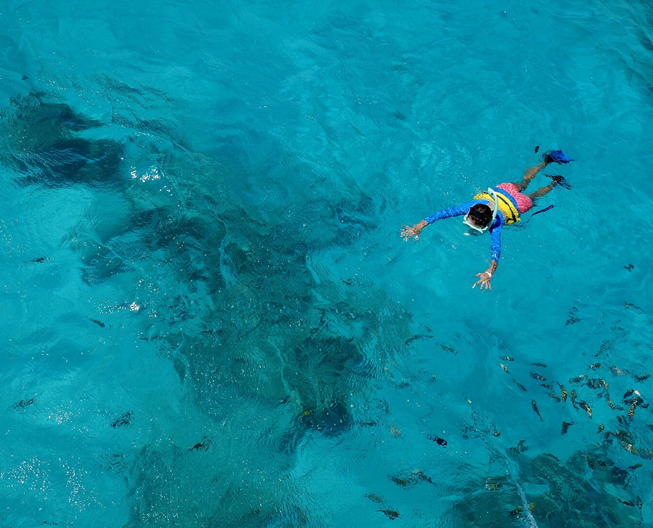 snorkel