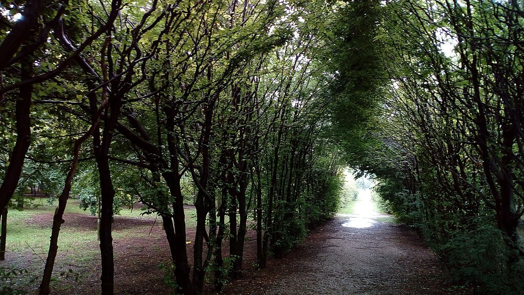 Parco del Cormor