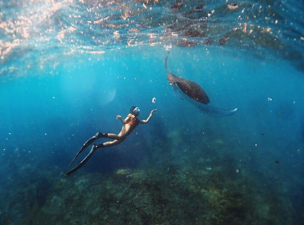 nusa penida snorkeling | manta bay