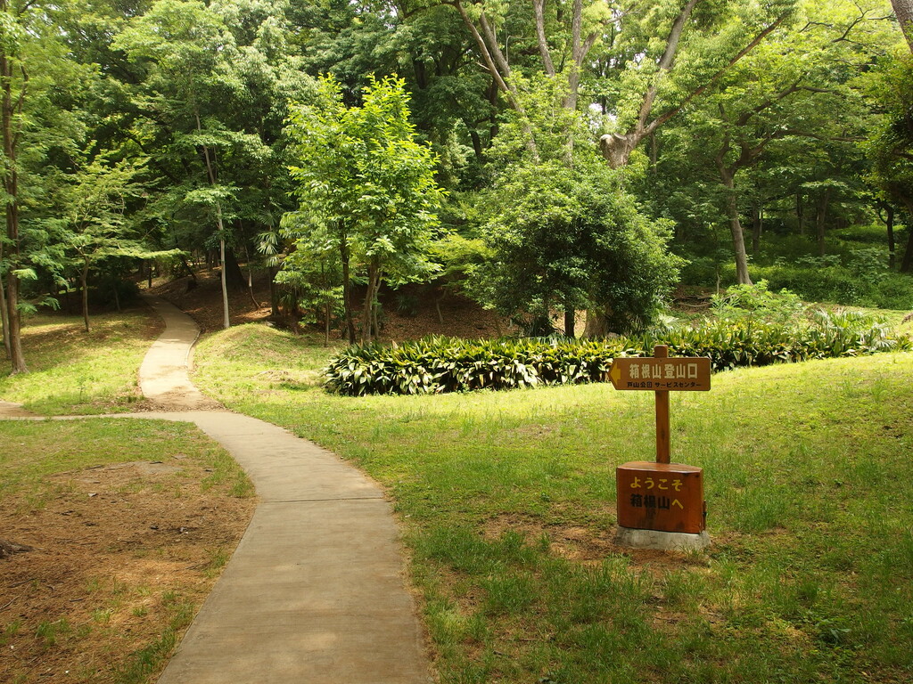 Toyama Park @ Shinjuku