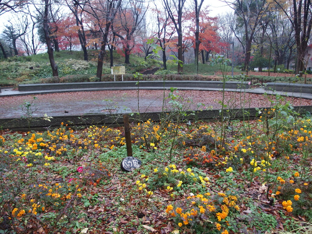 Shinjuku Central Park @ Nishi-Shinjuku