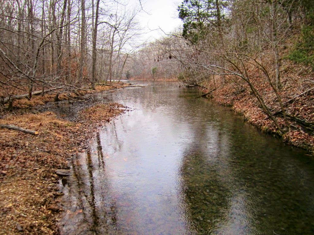 Montgomery Bell State Park
