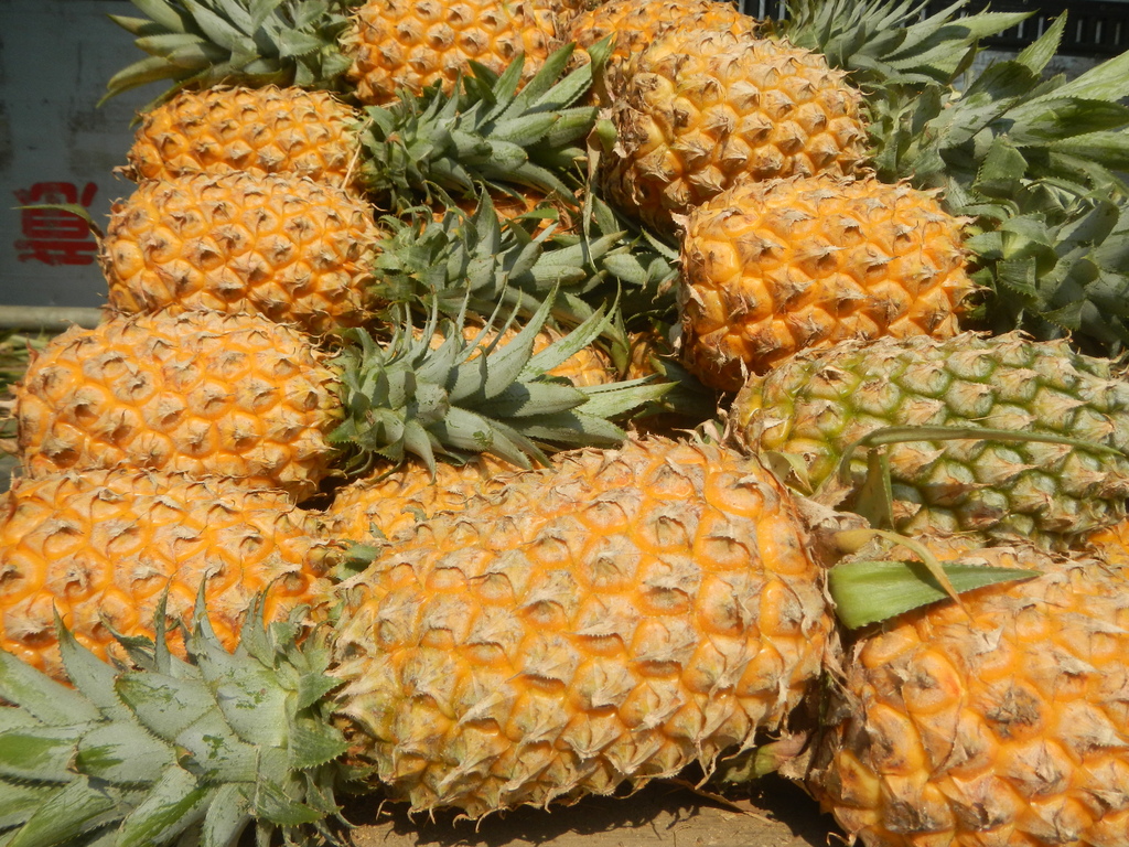 01283jfQueen Formosa pineapple Philippines Apolonio Samson Market Quezon Cityfvf 13