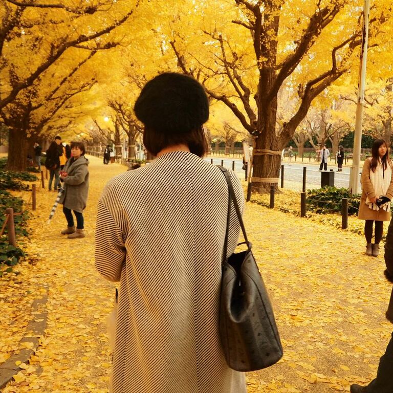 things to do in winter in tokyo | feel the winter at the jingugaien itcho festival
