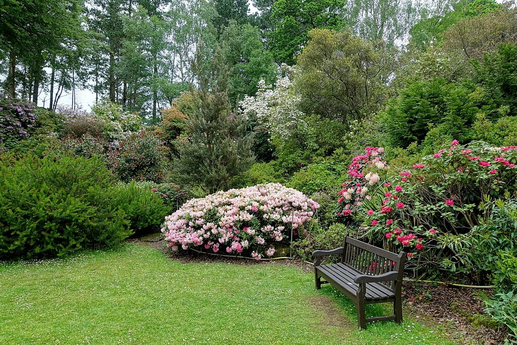 Exbury Gardens - Exbury, England - DSC04032