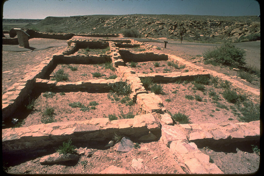 Petrified Forest National Park PEFO4624