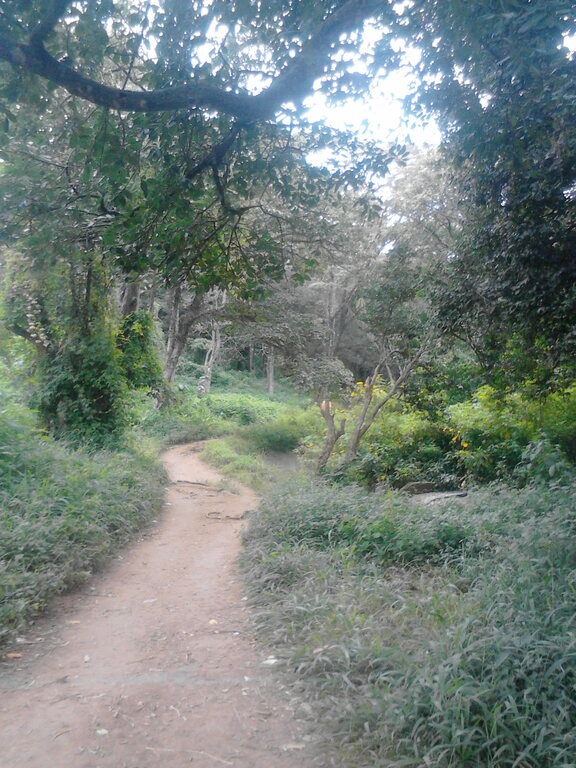 City park Nairobi