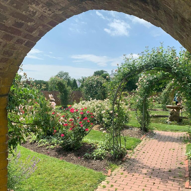 walk along the trails in ladew topiary gardens